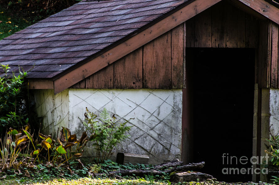 Rustic Shed Photograph by Judy Wolinsky