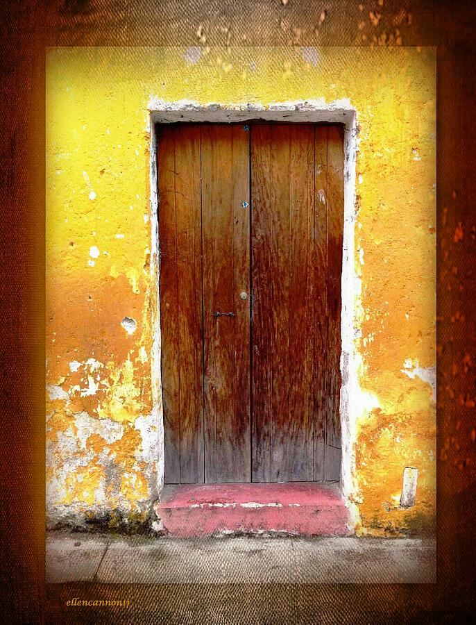 Rustic Studded Door Photograph by Ellen Cannon - Fine Art America