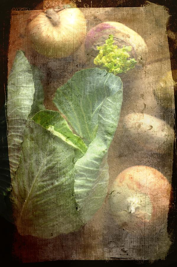 Rustic Vegetable Fruit Medley III Photograph by Suzanne Powers