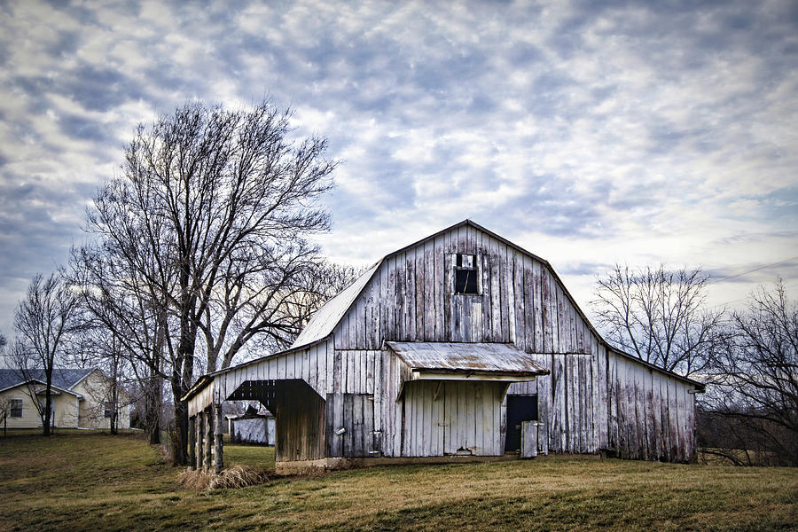 Rustic White Barn Photograph by Cricket Hackmann