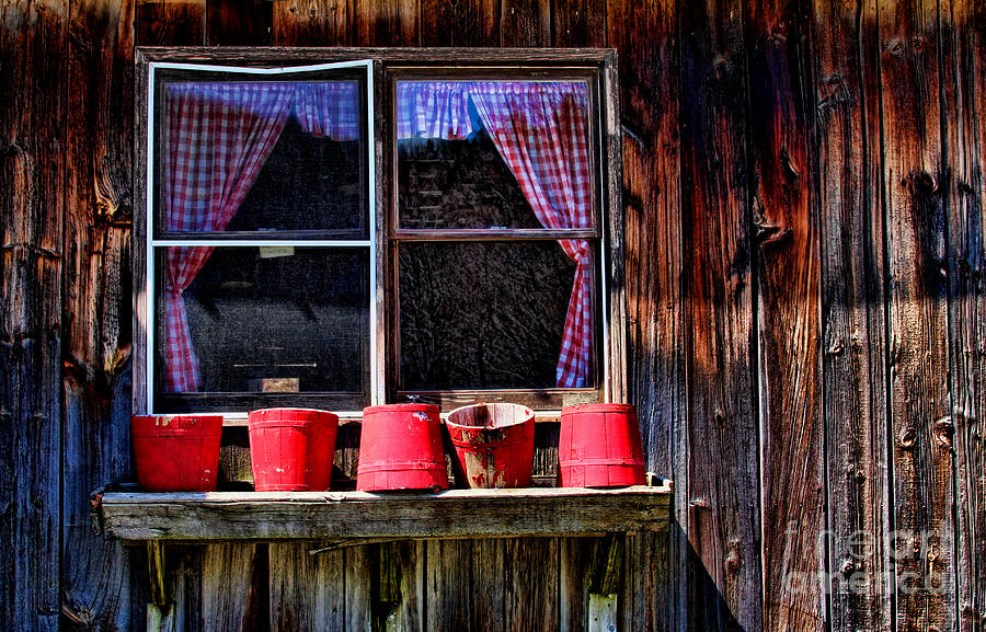 Rustic Window Box Photograph by Jayne Carney