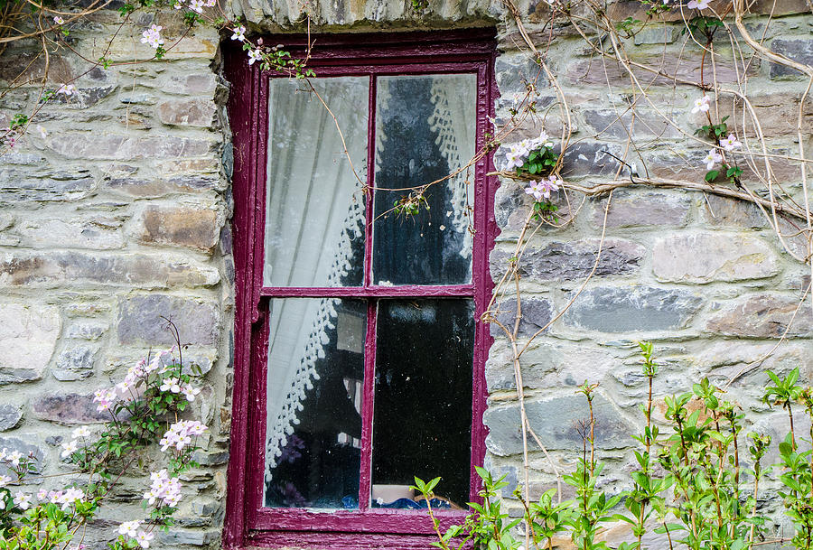 Rustic Window  Photograph by Mary Carol Story
