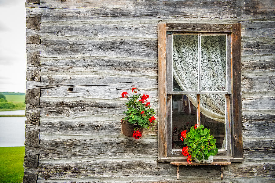 Rustic House Windows