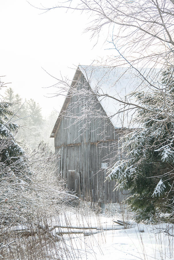 Rustic Winter Photograph by Cheryl Baxter