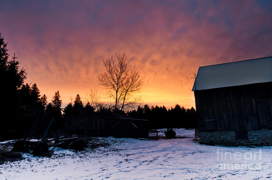 Rustic Winter Sunrise Photograph by Cheryl Baxter