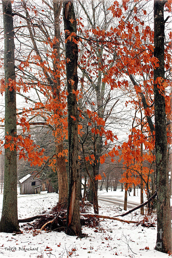 Rustic Winter Photograph by Todd Blanchard