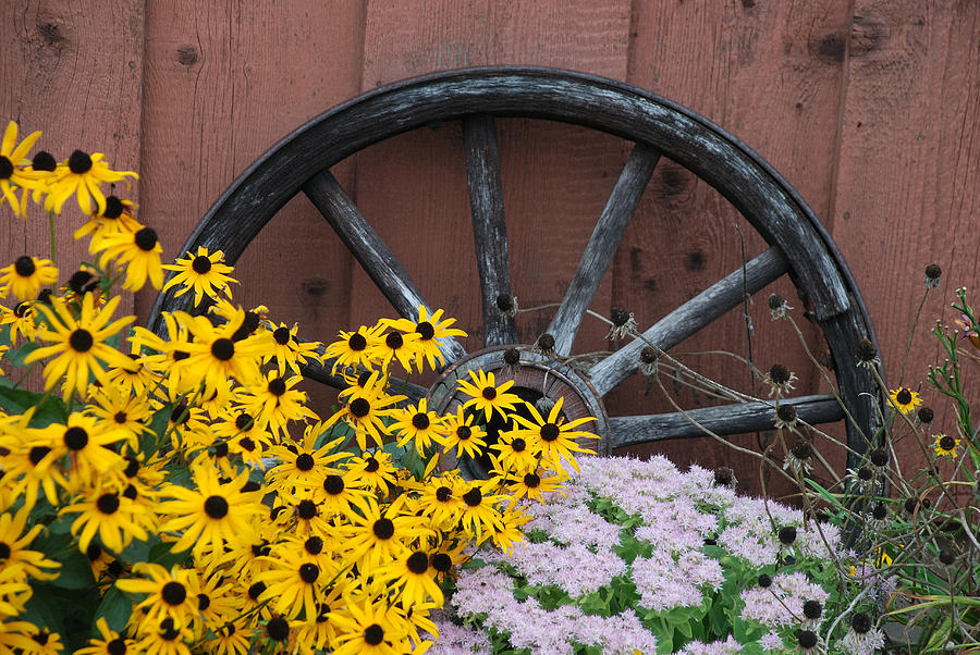 Rustic Wooden Wheel Surrounded By Flowers Photograph by Janice Adomeit