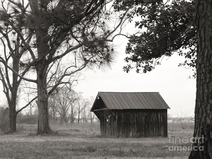 Rustic Woodshed Photograph by Scott Cameron