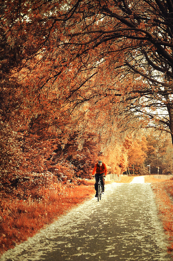 Rusty Autumn. Holland Photograph by Jenny Rainbow