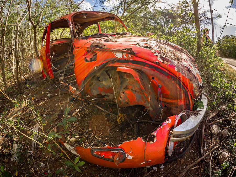 Rust Photograph - Rusty Beetle by Carl Engman Rust Photograph - Rusty Beetle by Carl Engman