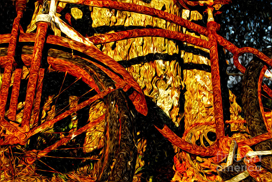 Rusty Bicycle Photograph by Sabine Jacobs