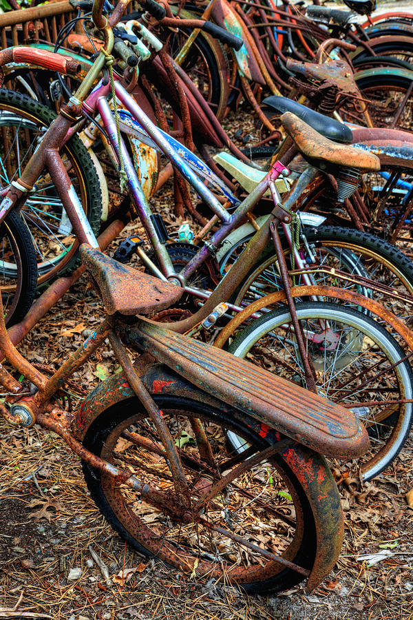 Rusty Bicycles Photograph by Denise Bush