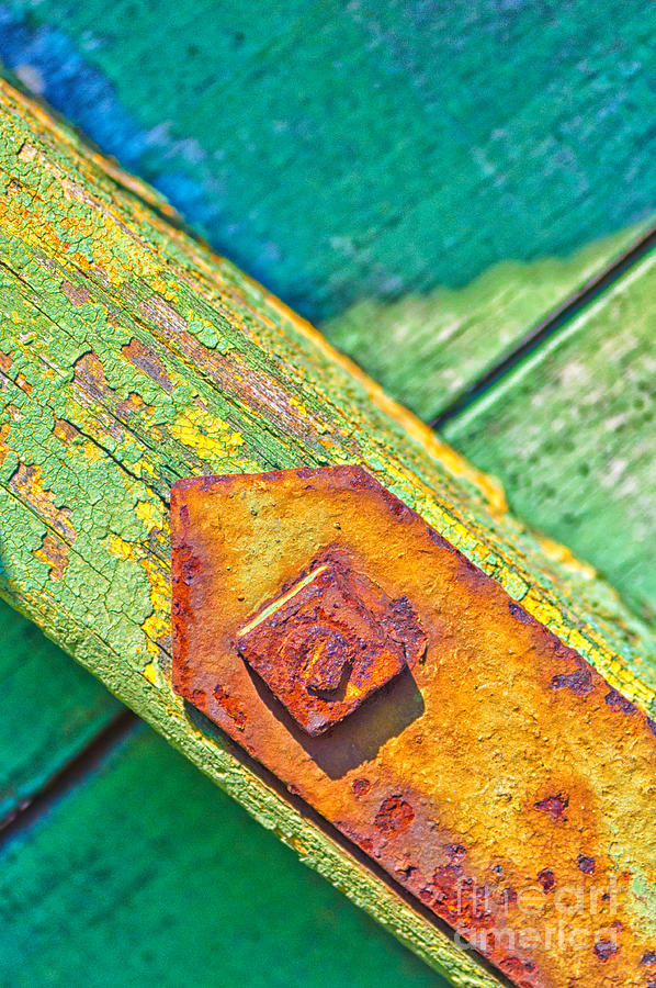 Abstract Photograph - Rusty bolt on rotten green wood by Silvia Ganora