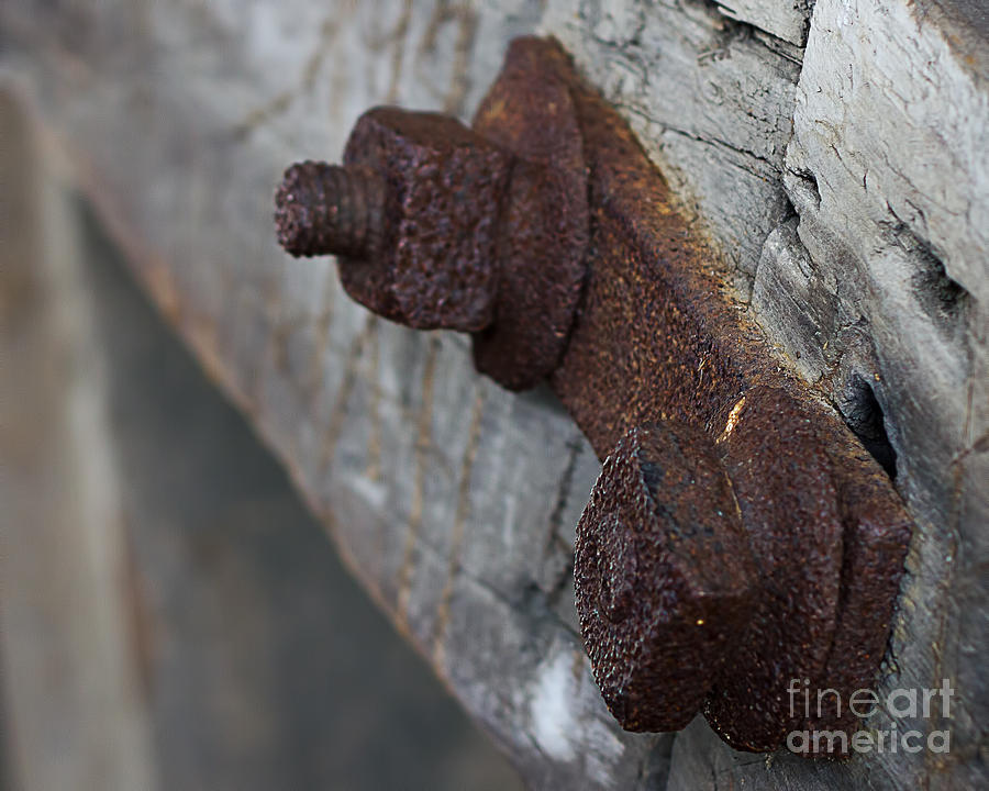 Bolt Photograph - Rusty Bolts by Terry Weaver