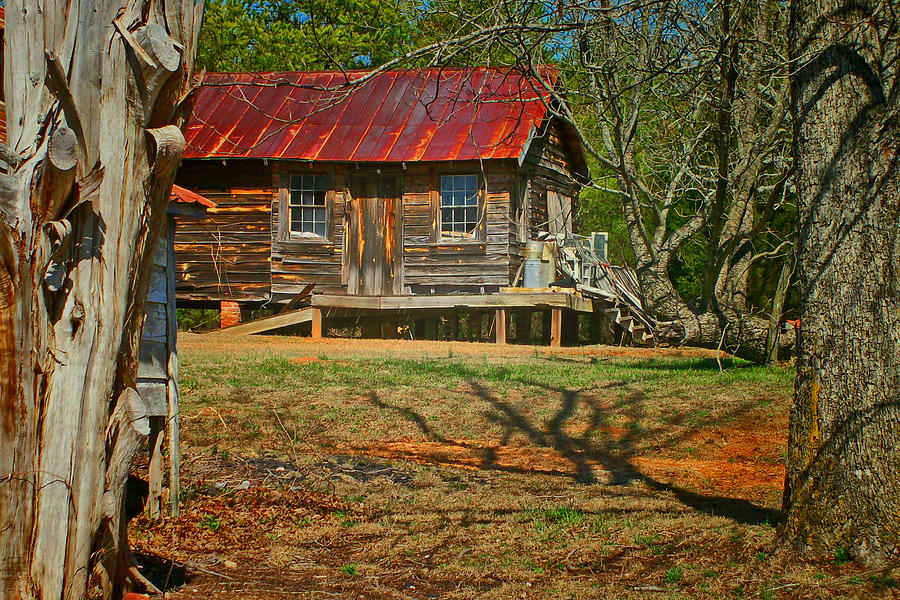 Rusty Cabin Photograph by Larry