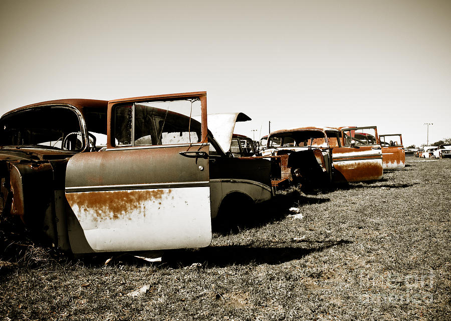 Detroit Photograph - Rusty Car Heaven by Sonja Quintero
