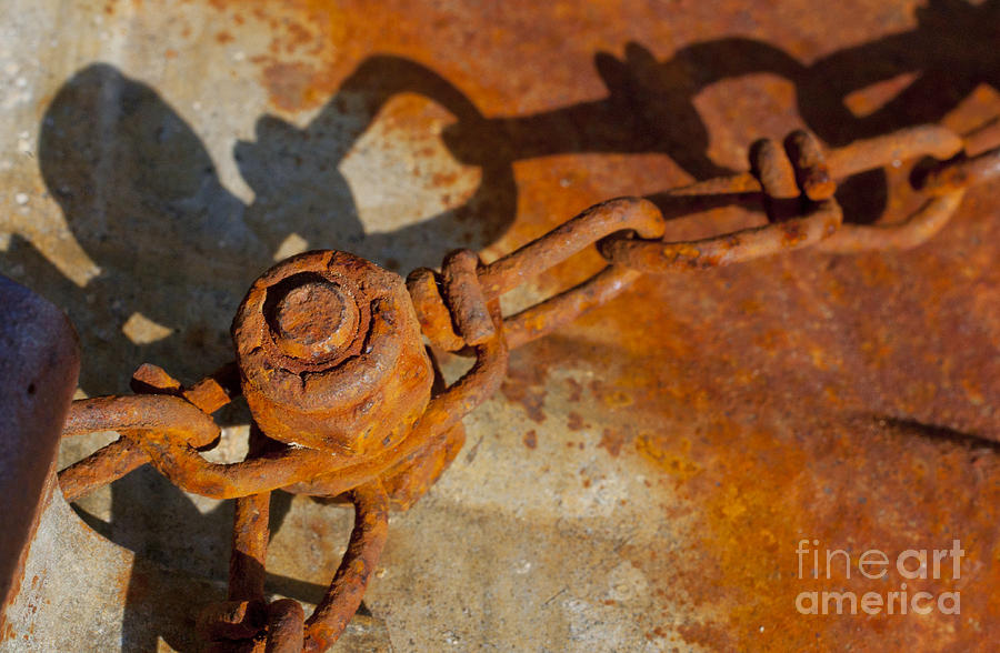 Rusty Chain Photograph by Jonathan Welch