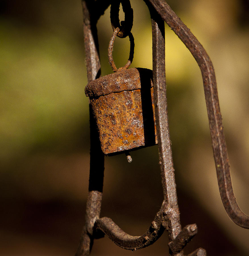 Rust Photograph - Rusty Chime Bell 2 by Ron Roberts