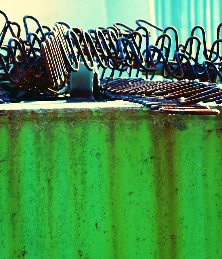 Rusty Coils 2 Photograph by Laurie Tsemak