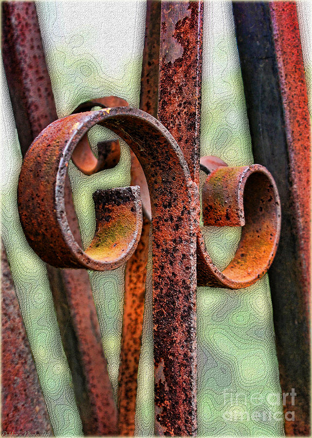 Rusty Curls Photograph by Debbie Portwood