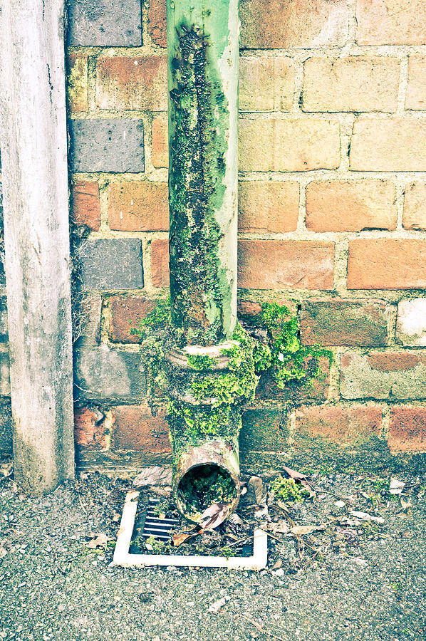 Tool Photograph - Rusty drainpipe by Tom Gowanlock