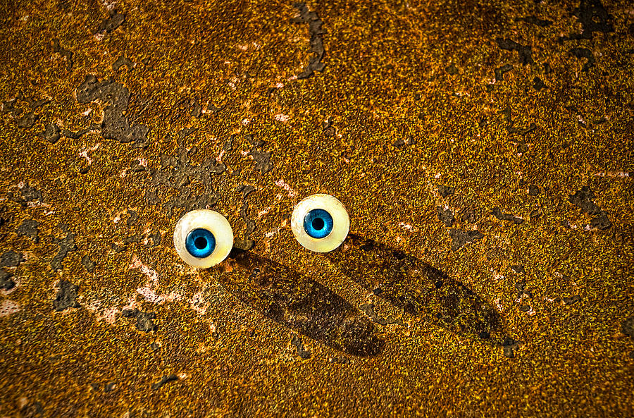 Rusty Eyes Photograph by Rick Mosher