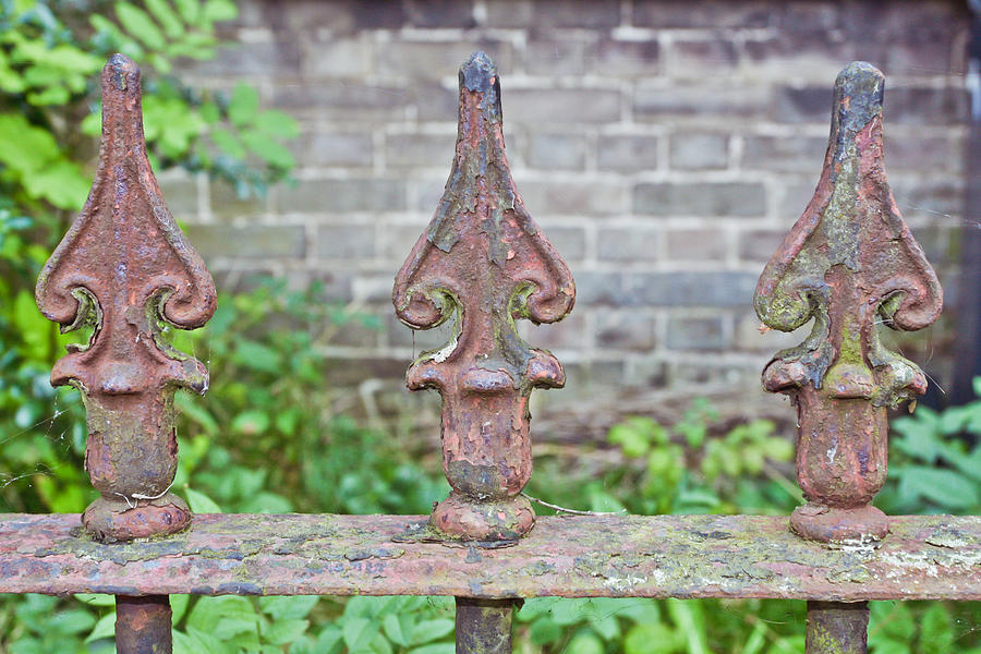 Architecture Photograph - Rusty fence spikes by Tom Gowanlock