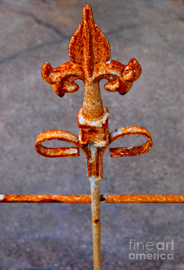 Rusty Fleur-de-lis Gate Digital Art by Pamela Smale Williams