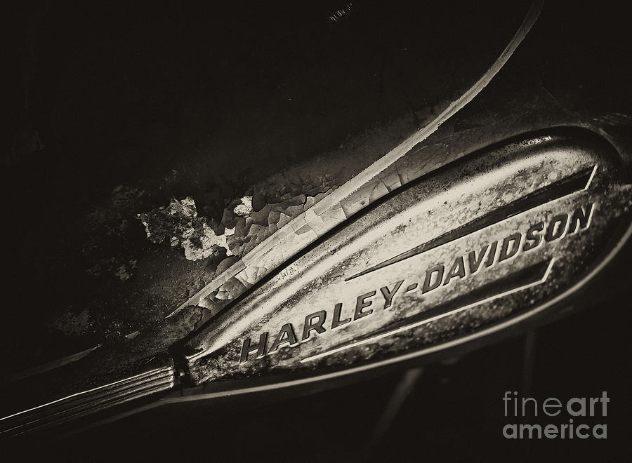 Rusty Fuel Tank  Photograph by Wilma  Birdwell