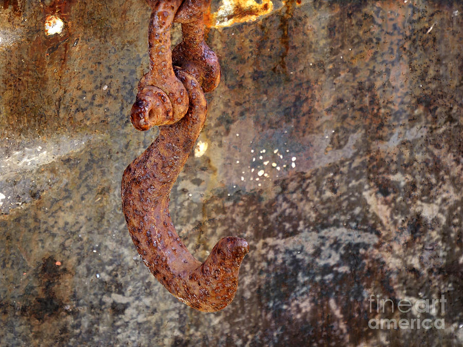 Rusty hook Photograph by Inge Riis McDonald