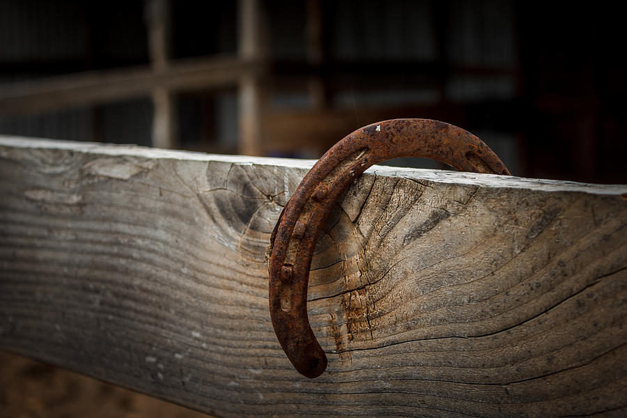 Rusty Horseshoe Photograph by Doug Long