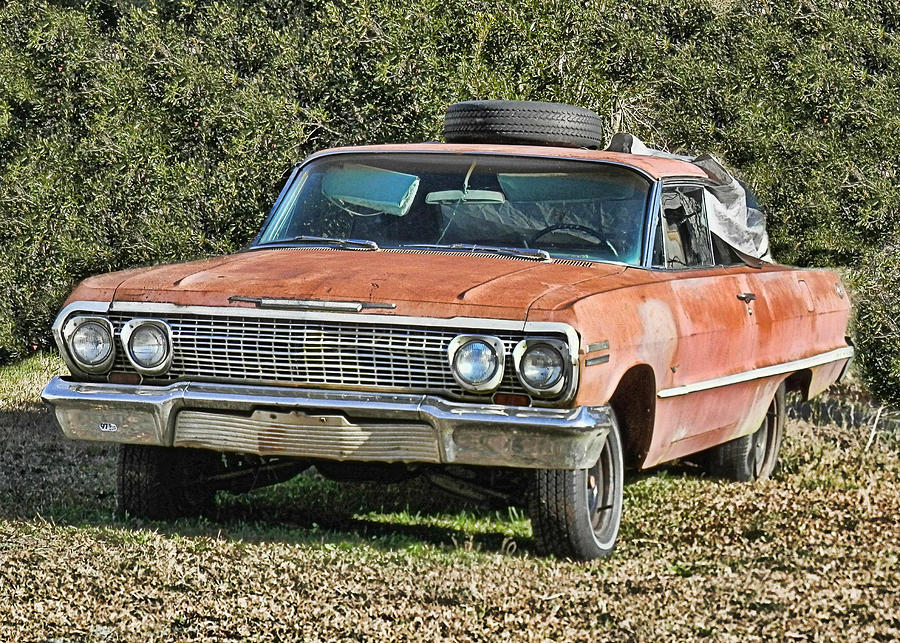 Rusty Impala Photograph by Vic Montgomery