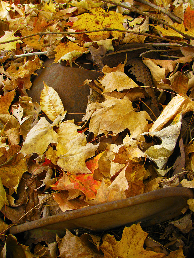 Fall Photograph - Rusty leaves by Meagan Johnson