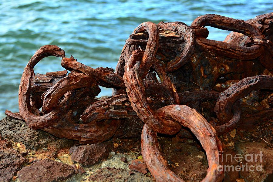 Rusty Links Photograph by Patrick Witz