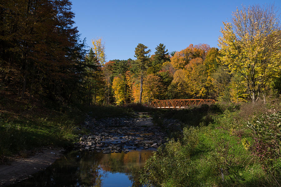 Rusty Little Bridge Complementing the Fall Colors Photograph by Georgia Mizuleva