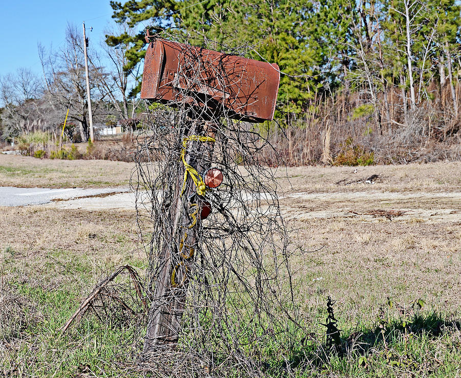 Rusty Mailbox Photograph by Linda Brown