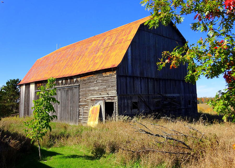 Rusty Michigan Barn Photograph by Kathleen Luther
