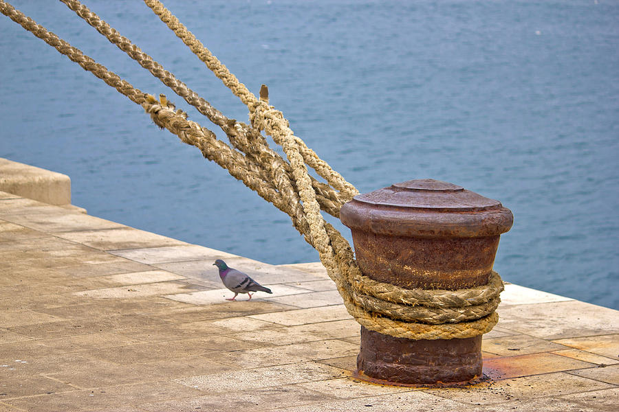 Rusty mooring bollard with ship ropes Photograph by Brch Photography