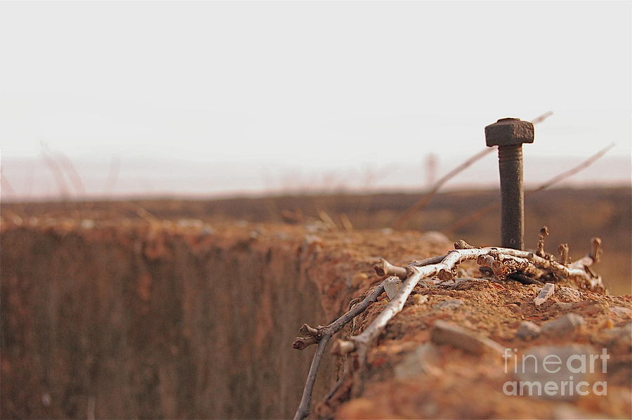 Rusty Nail Photograph by Andrea Aycock - Fine Art America