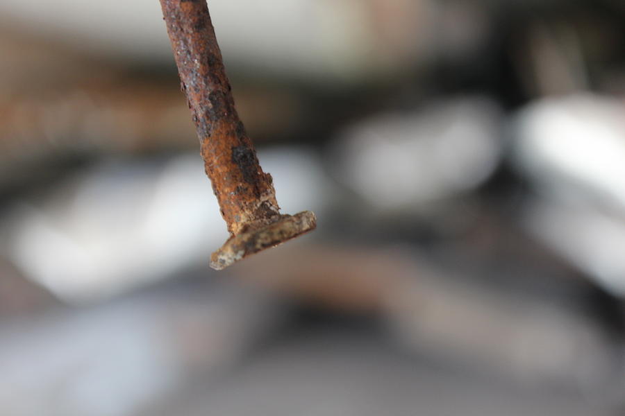 Rusty Nail Photograph by Kelly Meighan - Fine Art America