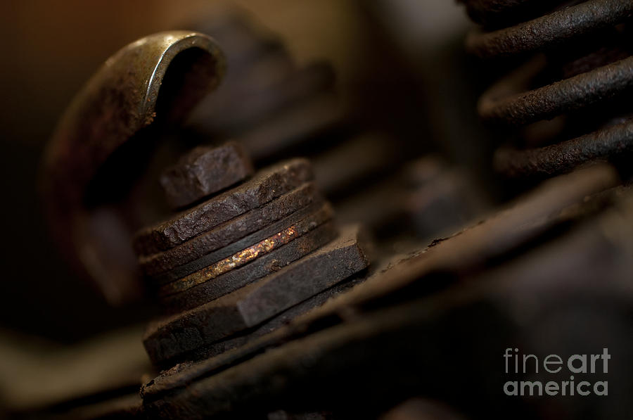 Rusty Nuts Bolts Washers Photograph by Wilma  Birdwell
