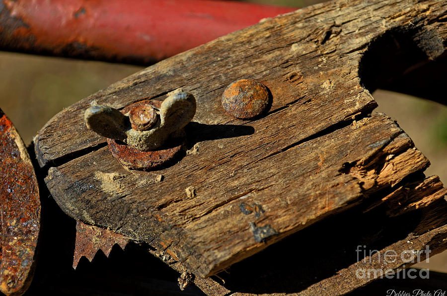 Rusty Objects Photograph by Debbie Portwood