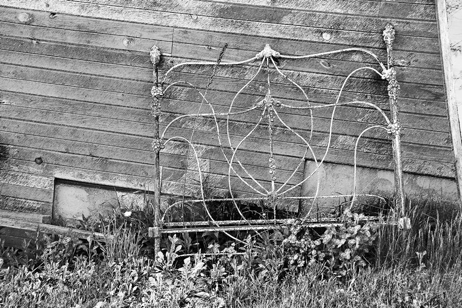 Rusty Old Bed Frame Leaning Against The Shed  Photograph by Janice Adomeit