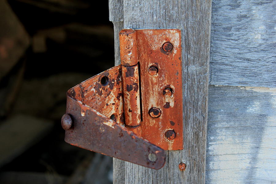 Rusty Old Hinge Photograph by Trent Mallett