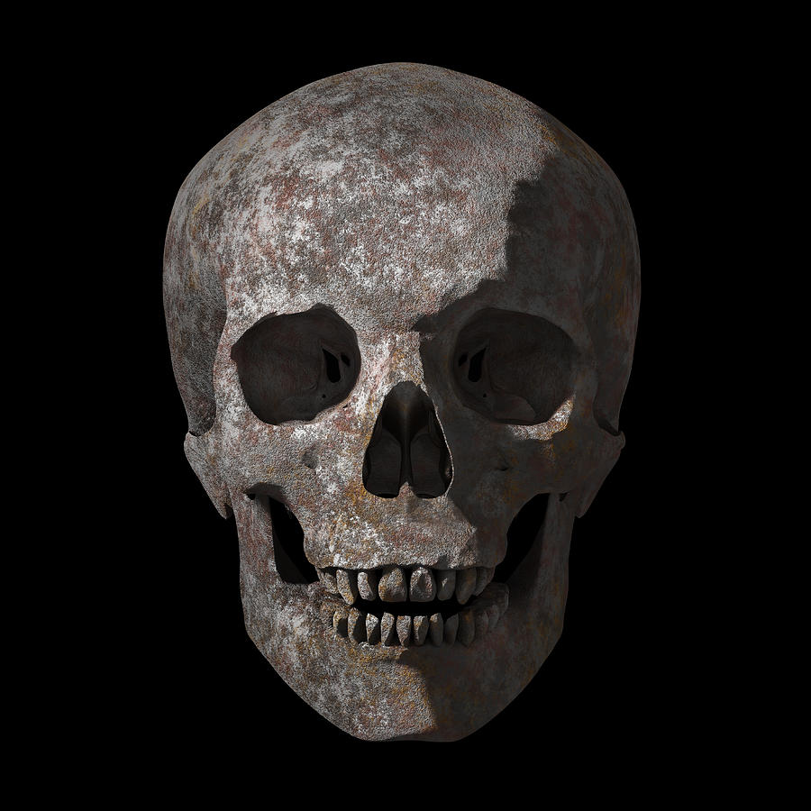 Rusty old skull Digital Art by Vitaliy Gladkiy