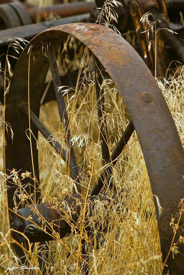Rusty Old Wheel and Yellow Grasses Photograph by Jeff Goulden