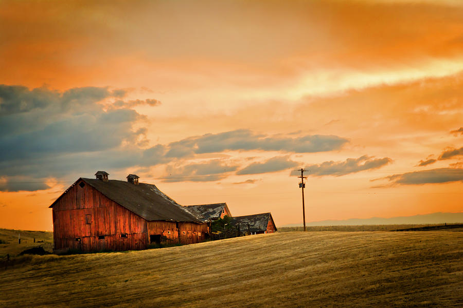 Rusty ole Barn Photograph by Randall Branham