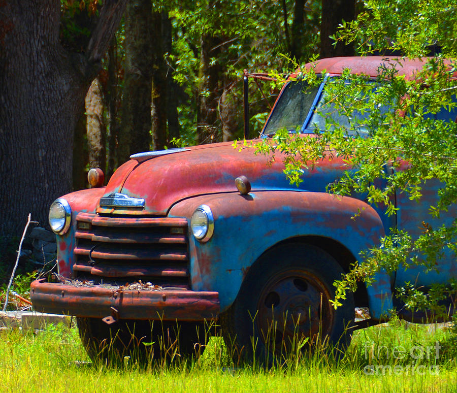Rusty OLE Truck Photograph by Christine Dekkers