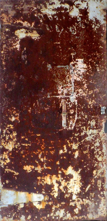 Rusty Painted Panel Photograph by Anita Burgermeister