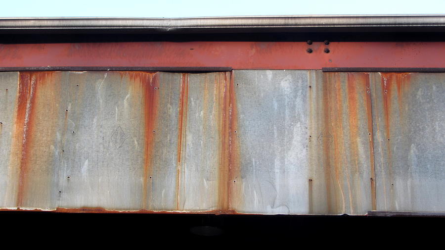Rusty Panel 2 Photograph by Anita Burgermeister